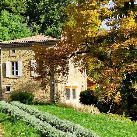 Gite Du Grand Delmas Bourdeaux Buitenkant foto